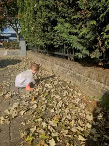 Christy 07 Blaadjes verzamelaar